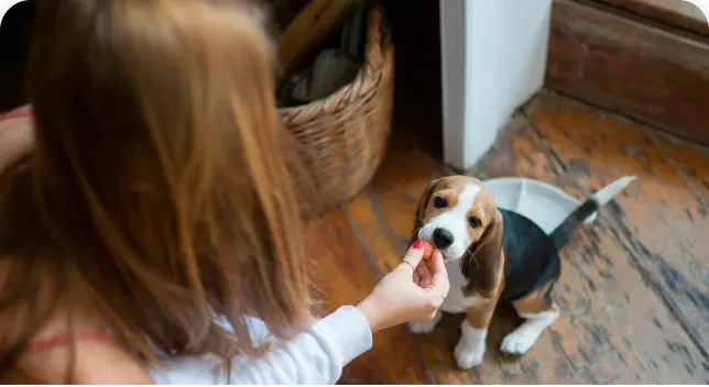 serv-cuidado-domicilio