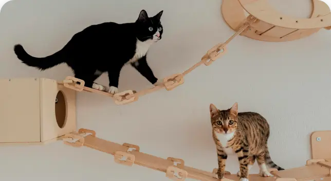 serv-guarderia-horas